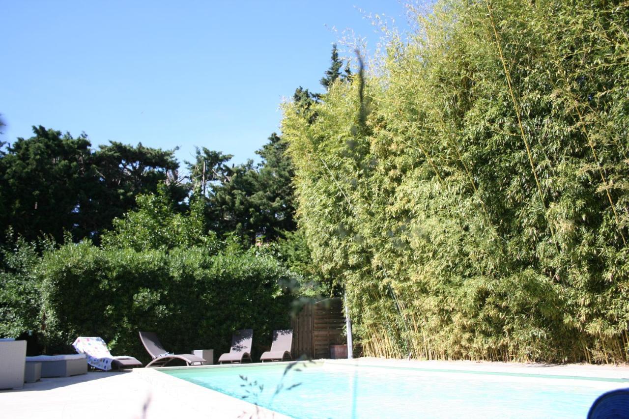 Le Mas Des Dames Appartement 亞維農 外观 照片