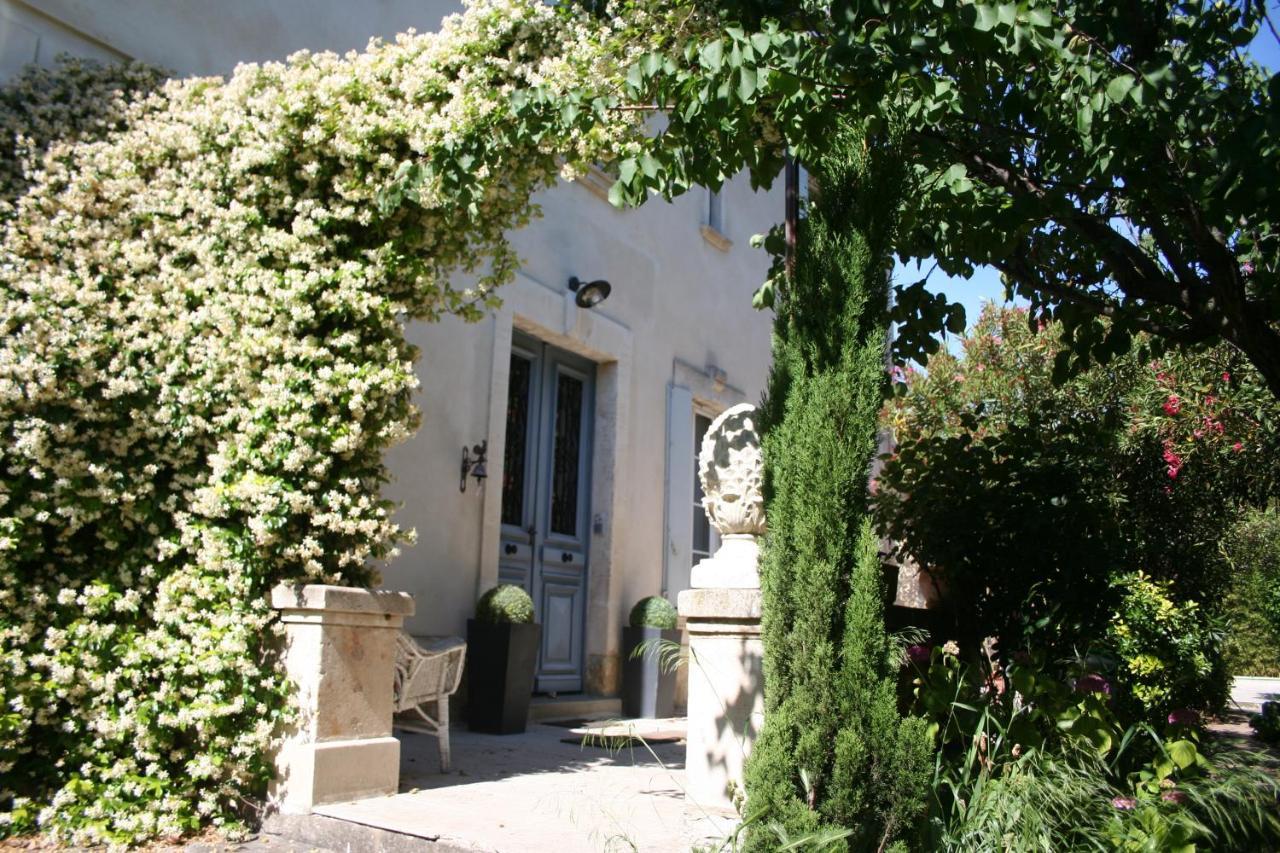 Le Mas Des Dames Appartement 亞維農 外观 照片